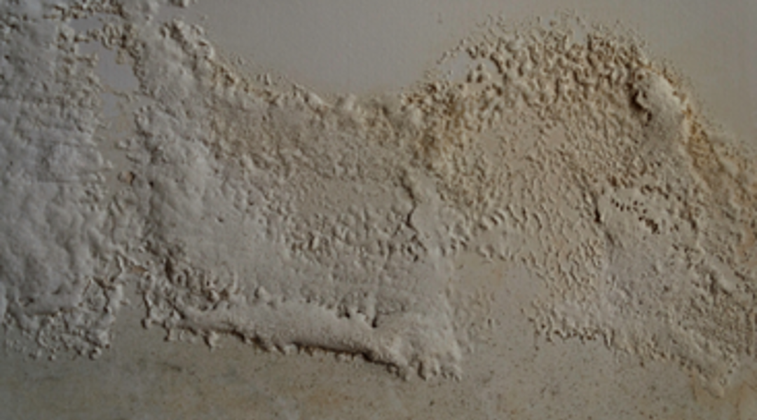 Rising Damp 2
