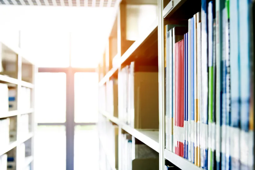 Library bookshelf