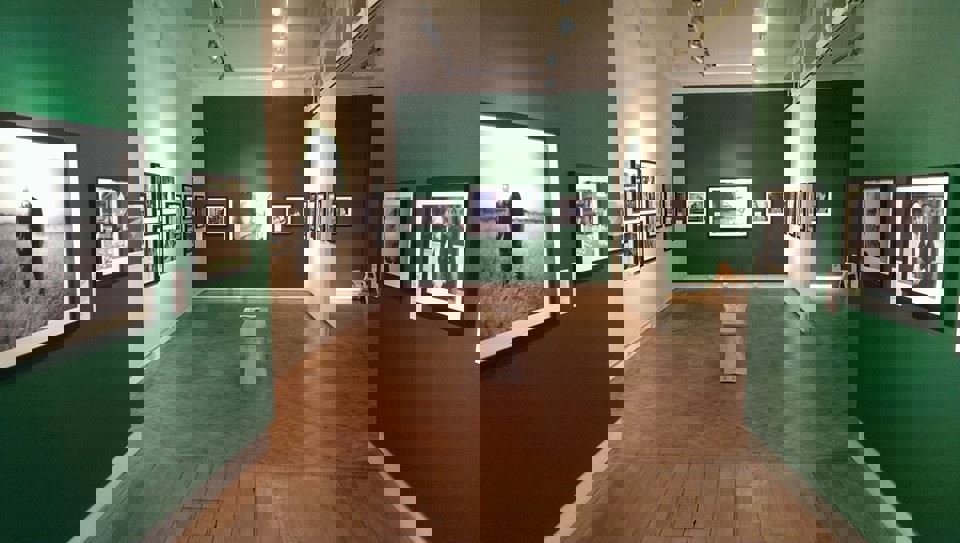 Cooper Gallery Yorkshire Made Me Too