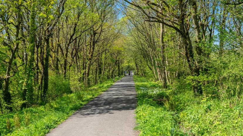 Footpath