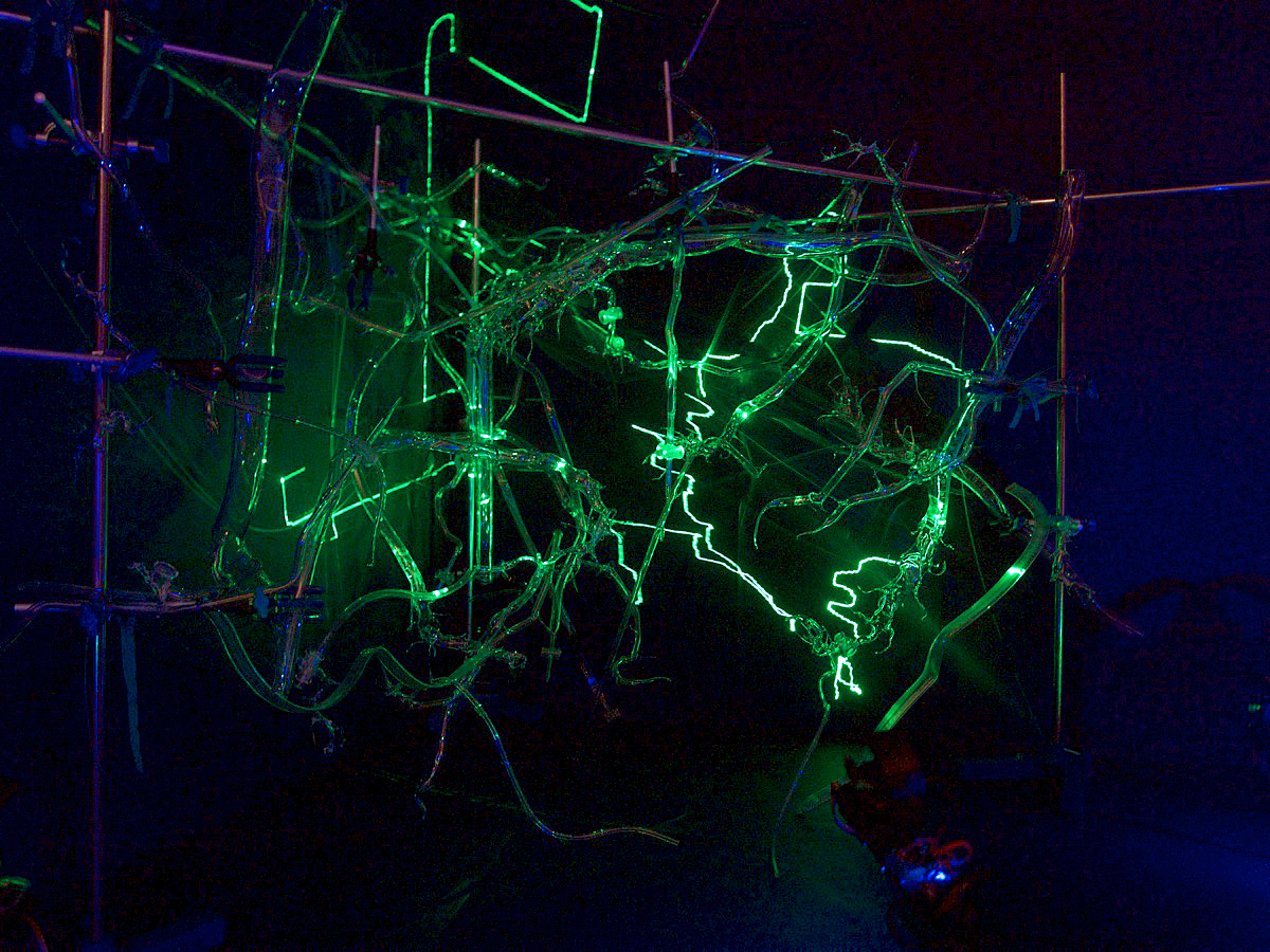 Spontaneous Synapse, an art installation by Charlie Murphy and Robin Bussell