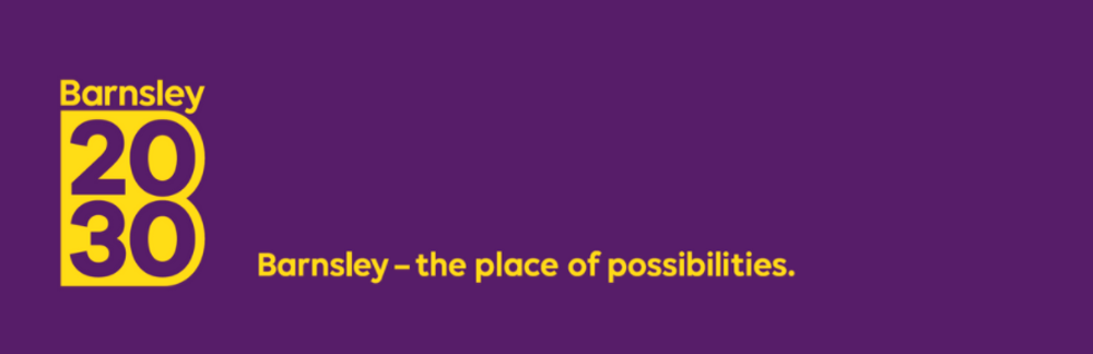 B2030 banner - with vision.PNG