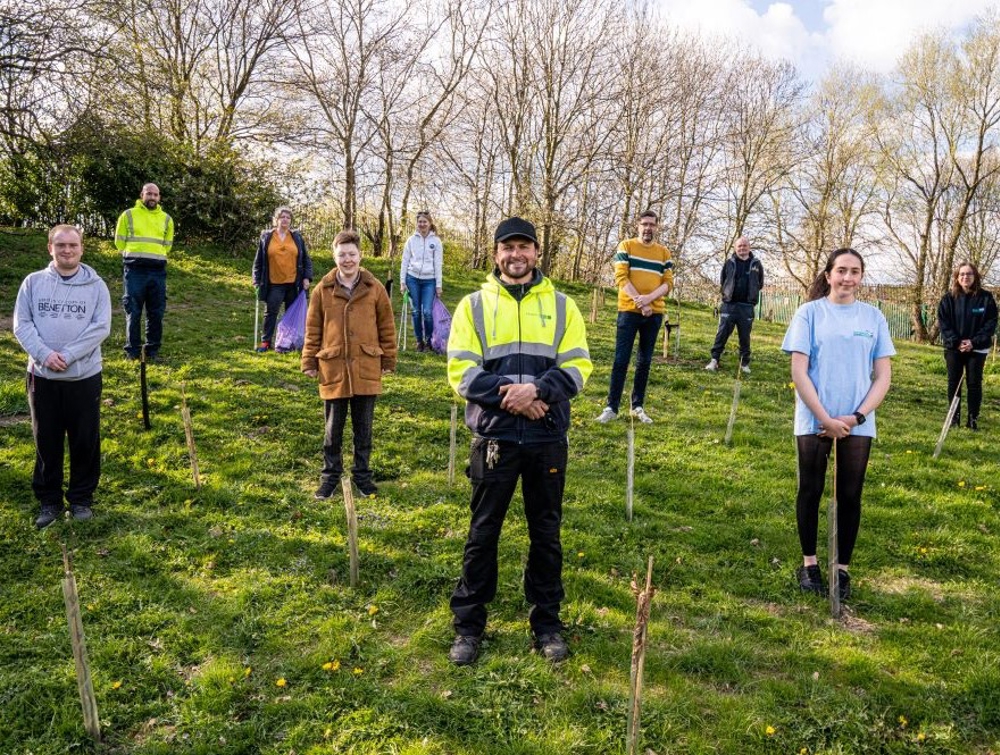 The Terrific Tree Task group