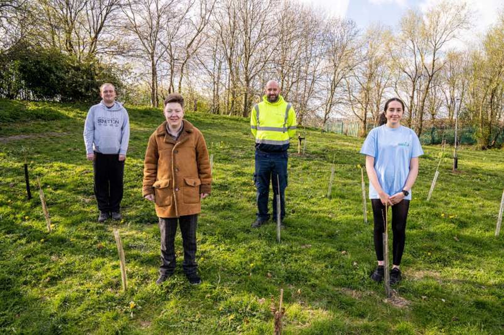 People planting trees