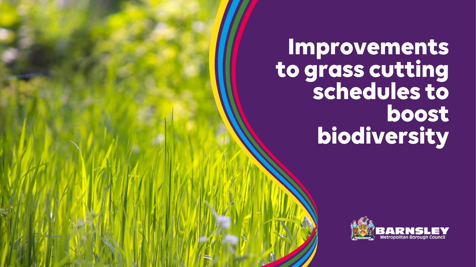 Improvements to grass cutting schedules to boost biodiversity