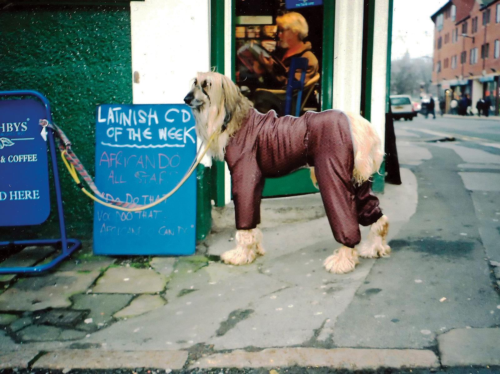 Shellsuit dog, Sheffield 2000.jpg (1)