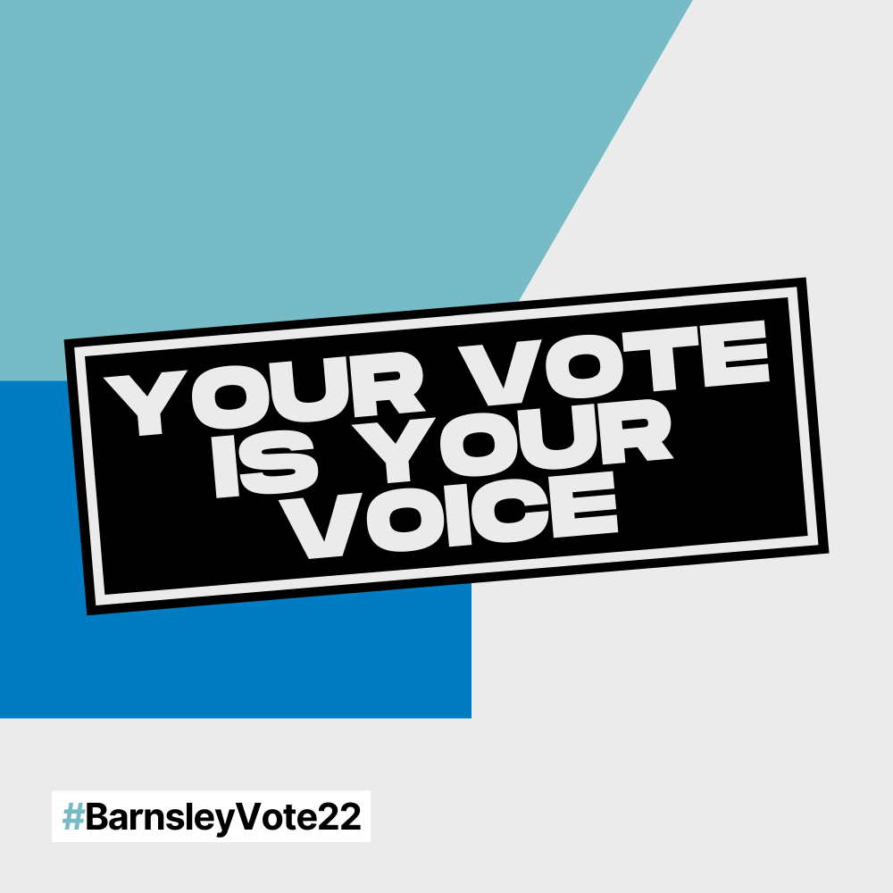 Your vote is your voice.png