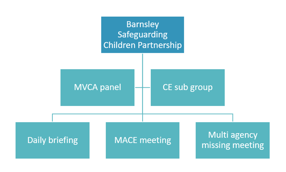 BSCP governance structure diagram