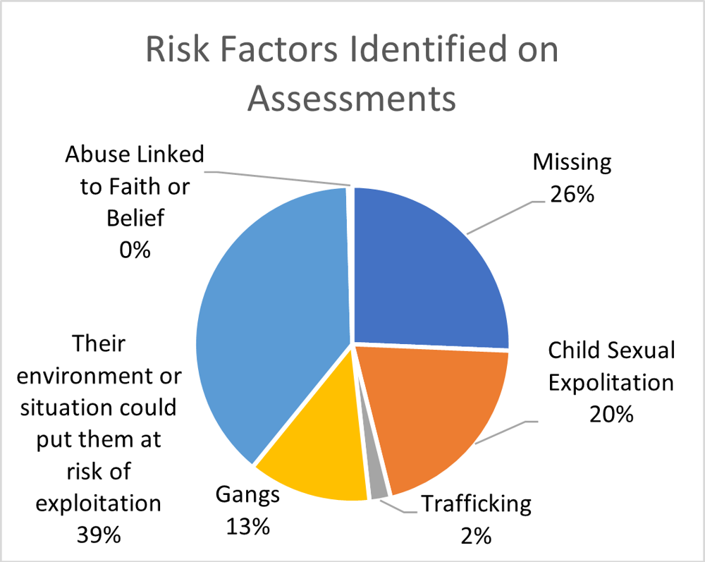Risk factors identified on assessments