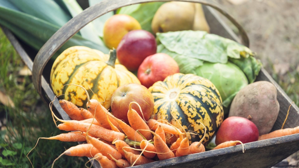 veg basket