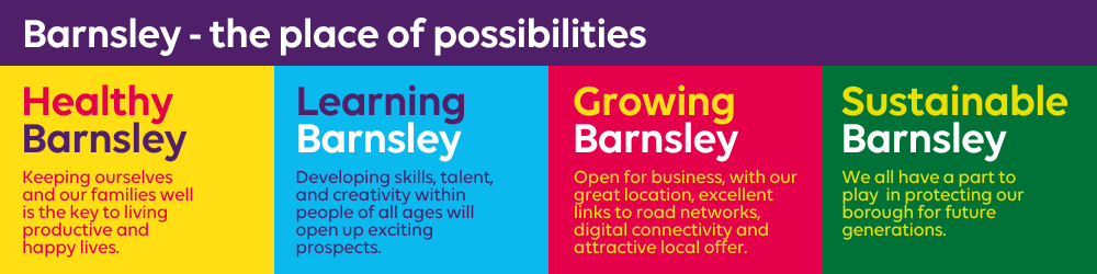 Barnsley vision and themes