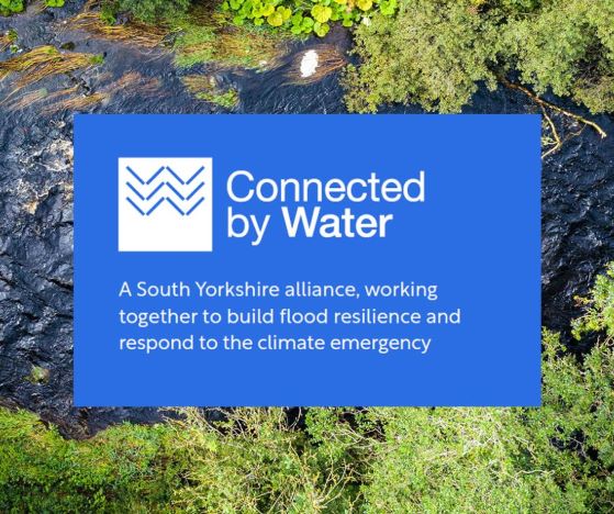 Connected by Water logo