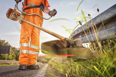 Grass cutting