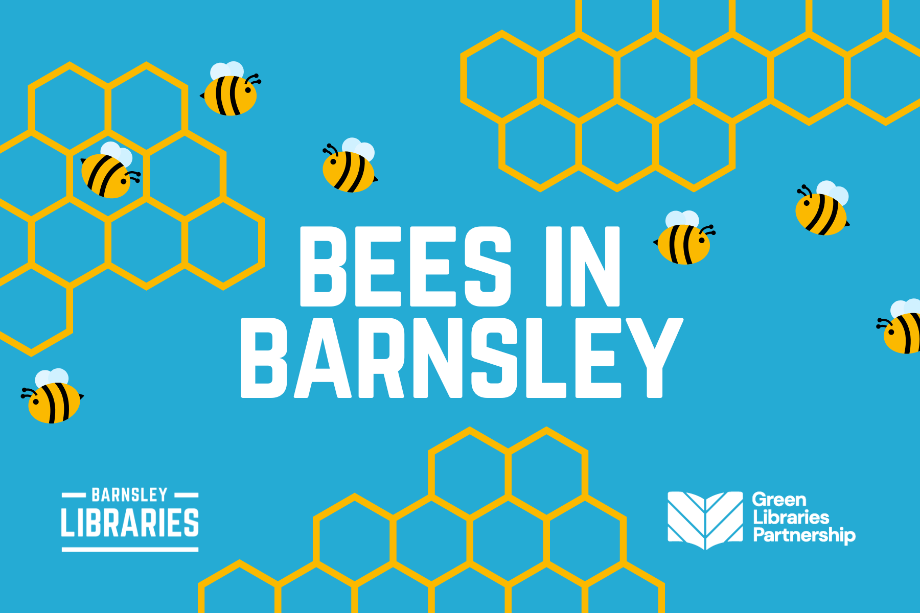 Bees in Barnsley.png