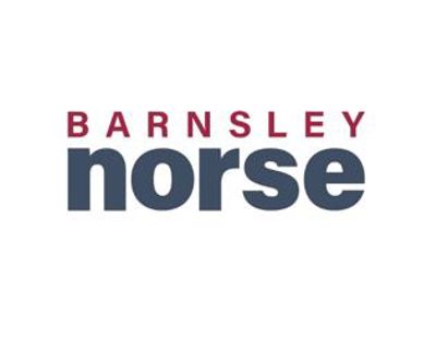 Barnsley Norse logo