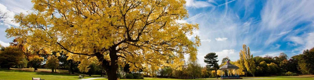 Locke Park