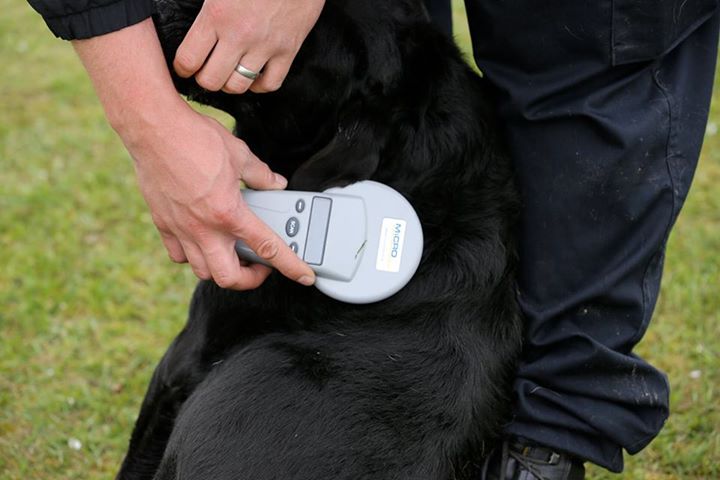 cookes pet supplies website