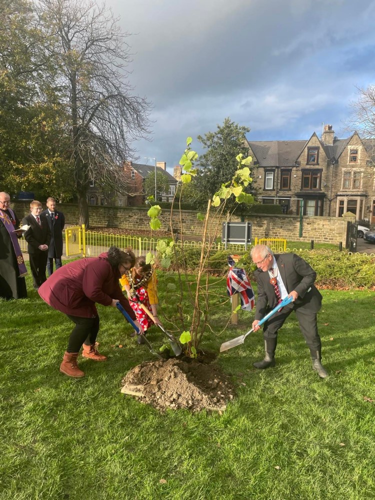 'Tree of Trees' planted in Locke Park