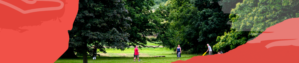 People playing cricket in a park