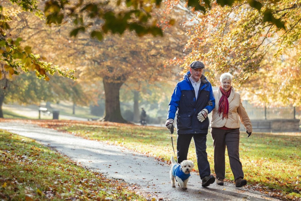 Couple walking a dog