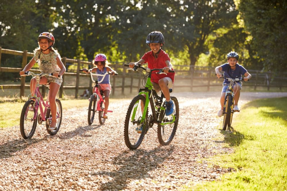 Children on bikes in a park