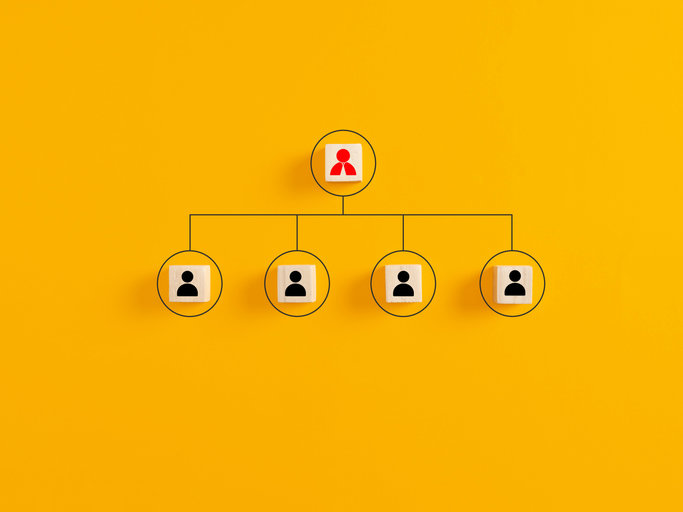 Organisation structure chart