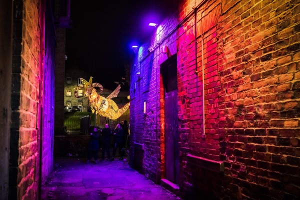 Beast in an alley