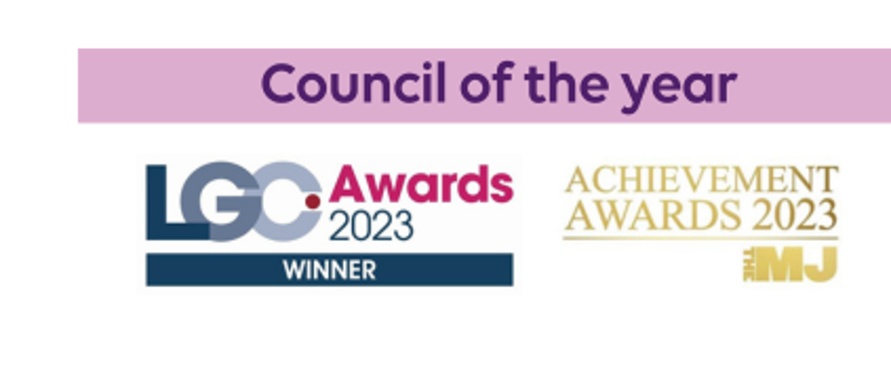 Council of the year