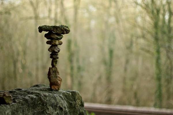 Nature inspired artwork in the parklands