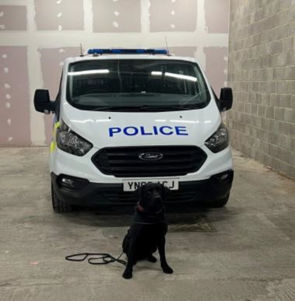 Police van and dog