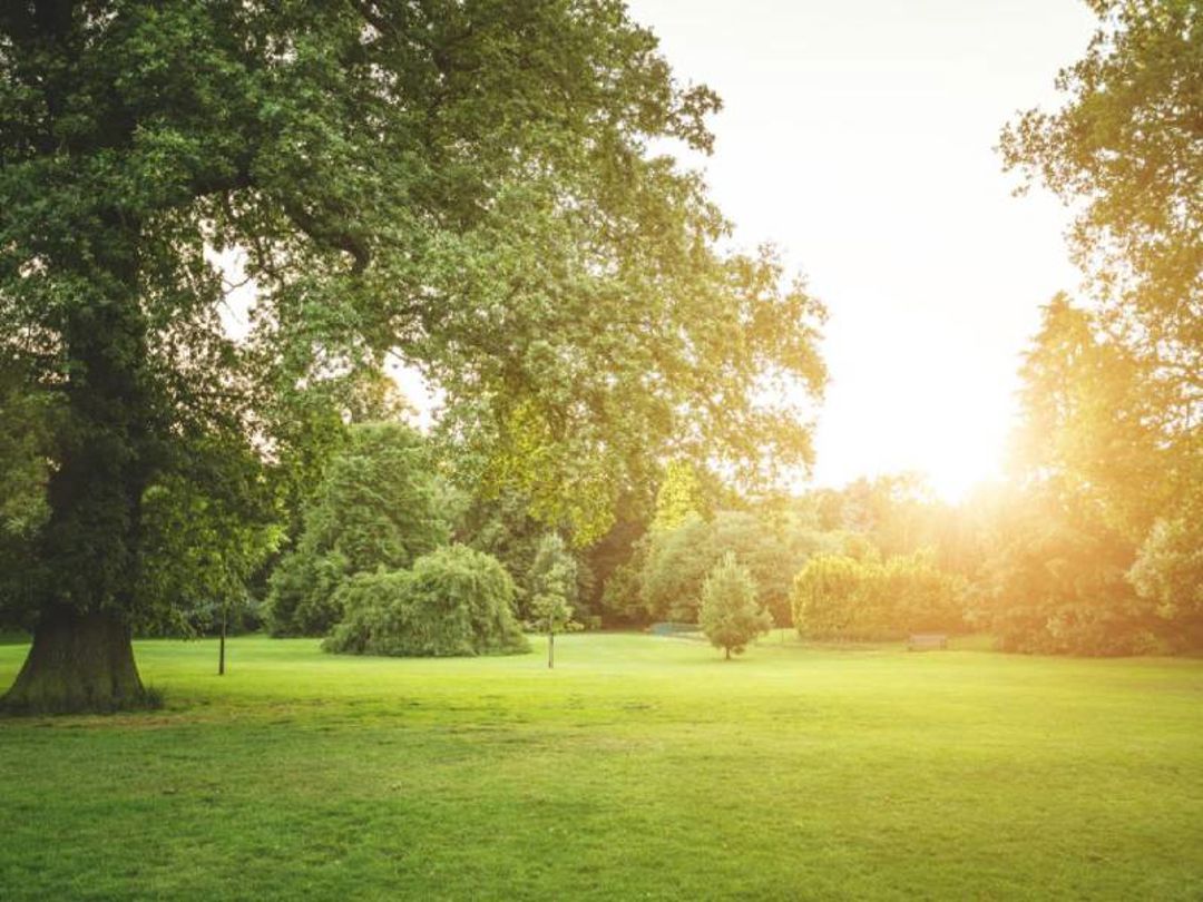 Ardsley Park