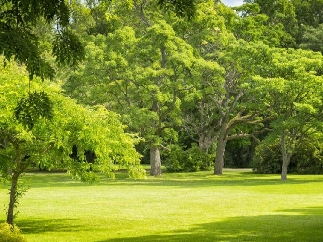 Pilley Pocket Park in spring