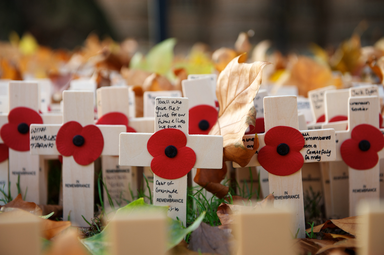 Armistice poppies on white crosses