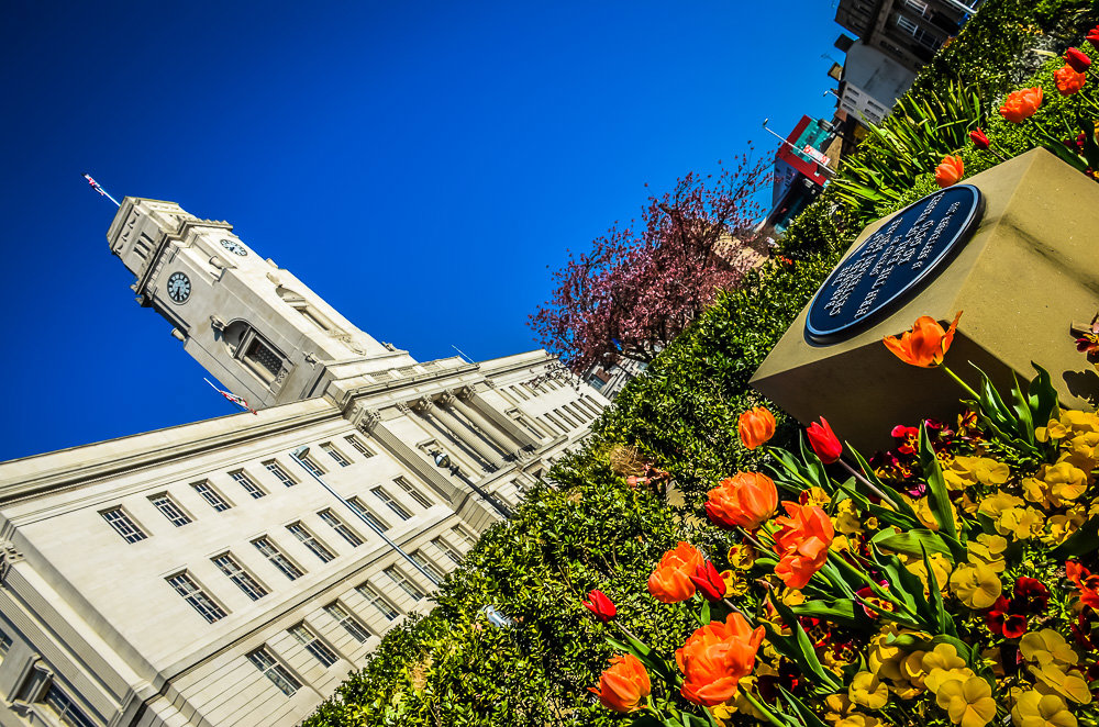 View of the Town Hall from the flower beds