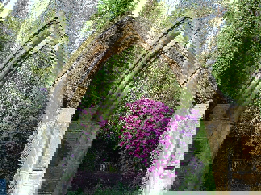 Cannon Hall archway