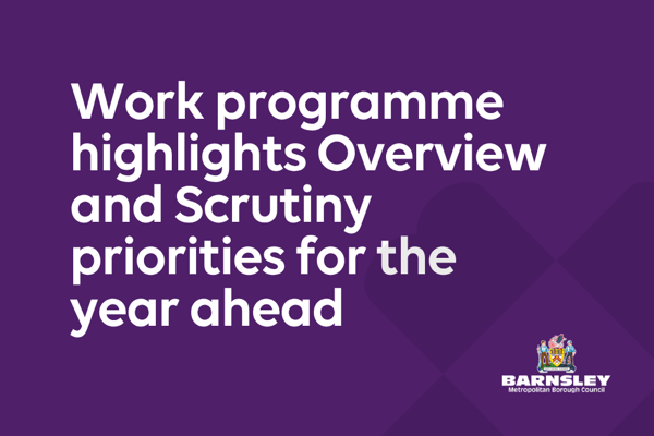 Work programme highlights Overview and Scrutiny priorities for the year ahead.png