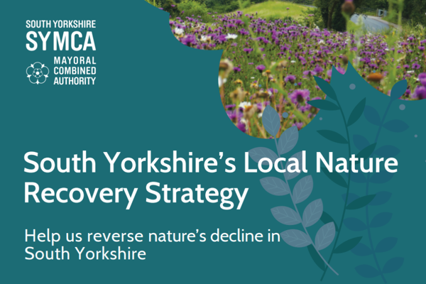 South Yorkshire's Local Nature Recovery Strategy
