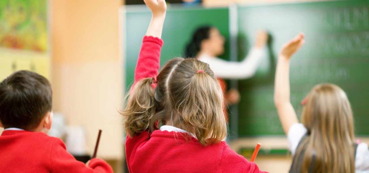 Apply for a primary school place