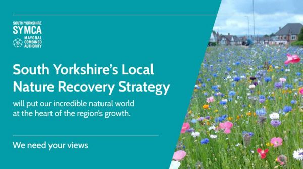 South Yorkshire's Local Nature Recovery Strategy