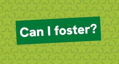 Can I Foster Tile