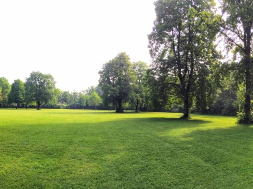 Mapplewell Park 800X600