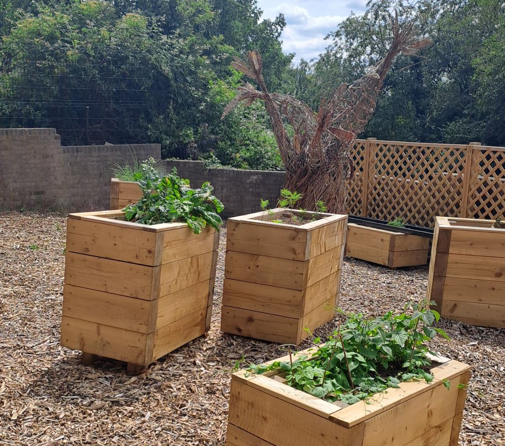 Community garden in Darfield blooming after helping hand from our Pride ...