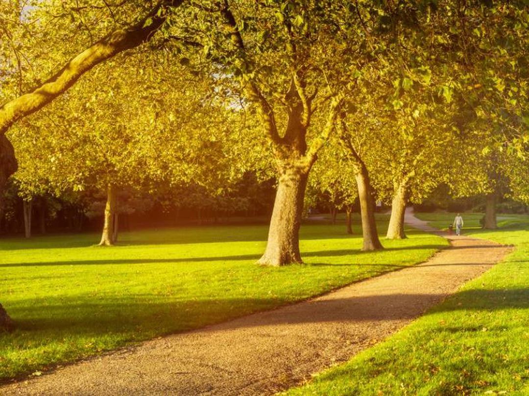 Thurnscoe Park in autumn