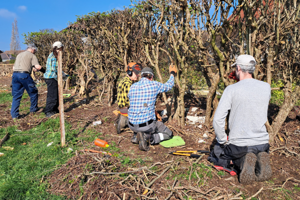 Volunteers Hedge Laying