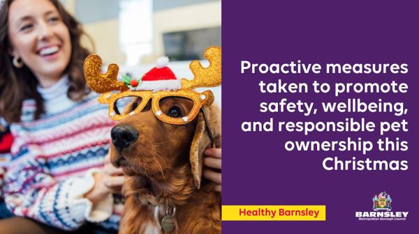 Proactive Measures Taken To Promote Safety, Wellbeing, And Responsible Pet Ownership This Christmas