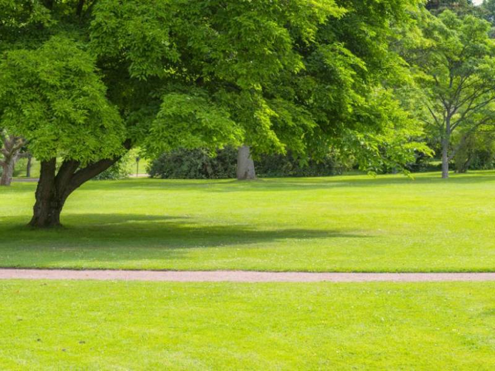 Dearne Valley Park 800X600