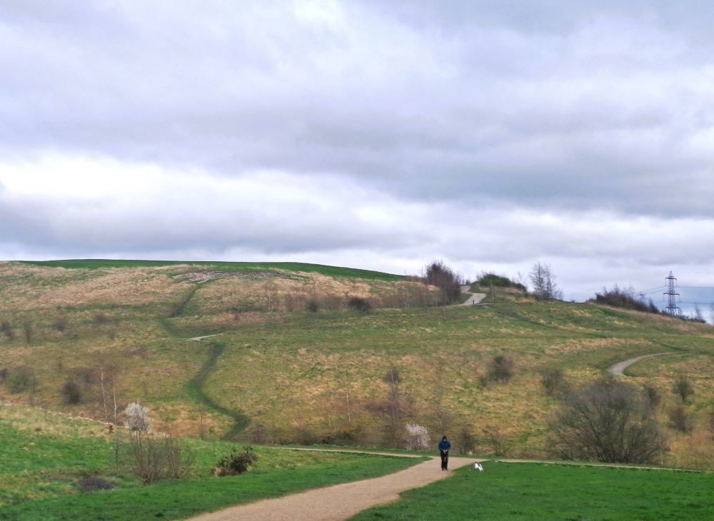 Rabbit Ings Country Park Royston