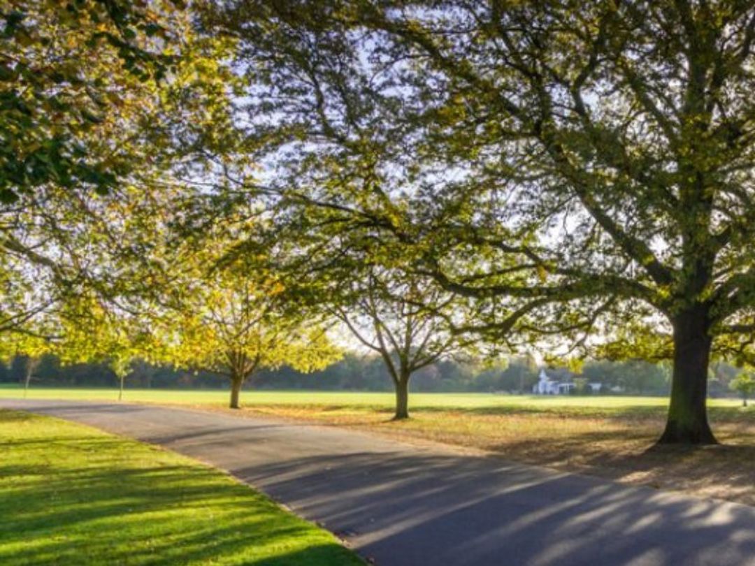 Ardsley Park, Ardsley