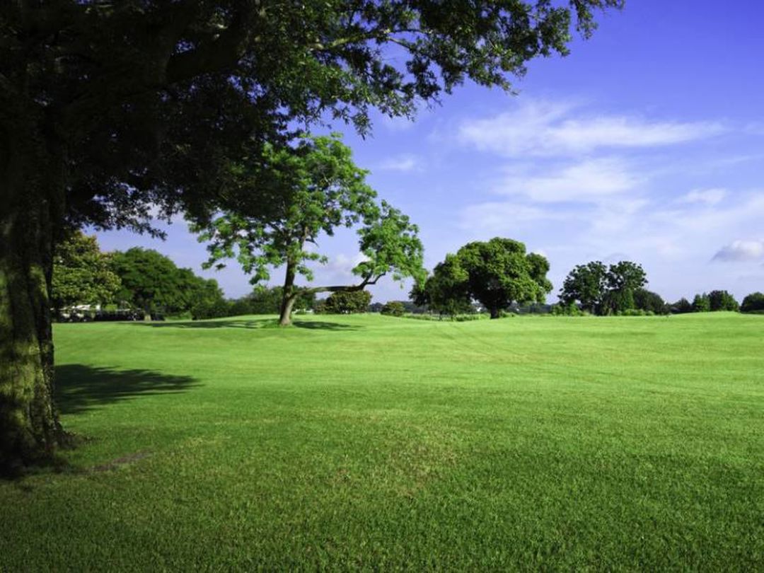 Wombwell Park, Wombwell