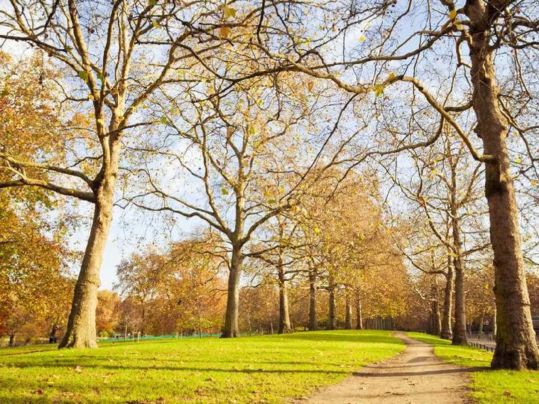 Monk Bretton Park in autumn